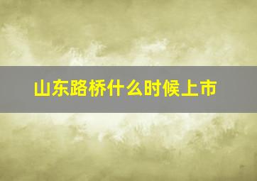 山东路桥什么时候上市