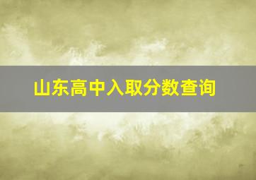 山东高中入取分数查询