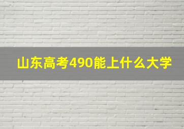 山东高考490能上什么大学