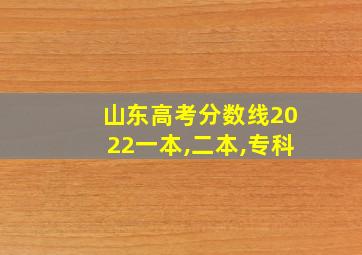 山东高考分数线2022一本,二本,专科