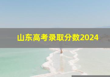 山东高考录取分数2024