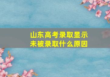 山东高考录取显示未被录取什么原因