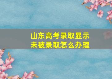 山东高考录取显示未被录取怎么办理