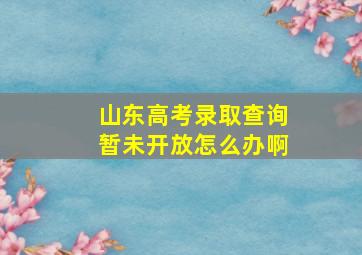 山东高考录取查询暂未开放怎么办啊