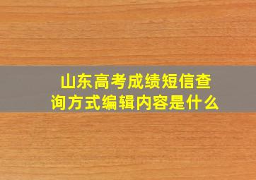 山东高考成绩短信查询方式编辑内容是什么