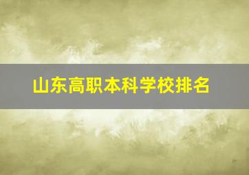 山东高职本科学校排名