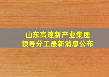 山东高速新产业集团领导分工最新消息公布