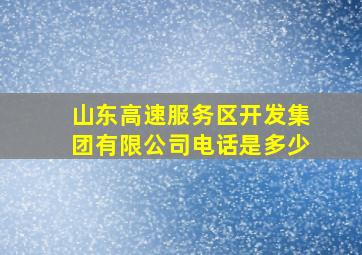 山东高速服务区开发集团有限公司电话是多少