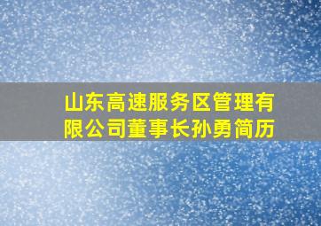 山东高速服务区管理有限公司董事长孙勇简历