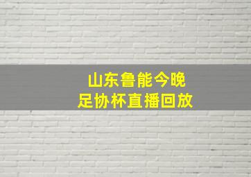 山东鲁能今晚足协杯直播回放