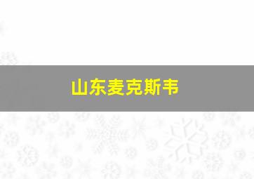 山东麦克斯韦