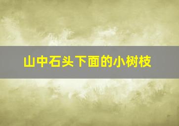 山中石头下面的小树枝