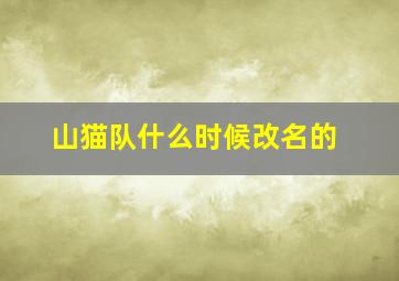 山猫队什么时候改名的