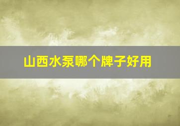 山西水泵哪个牌子好用