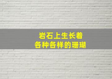 岩石上生长着各种各样的珊瑚