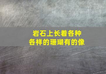 岩石上长着各种各样的珊瑚有的像