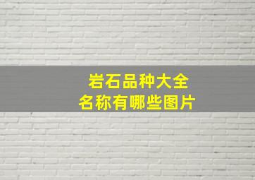 岩石品种大全名称有哪些图片