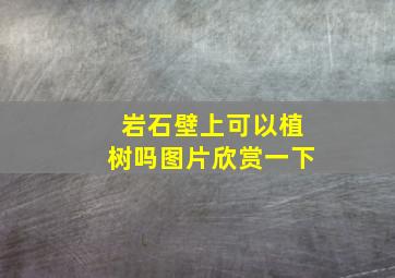 岩石壁上可以植树吗图片欣赏一下