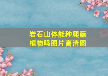 岩石山体能种爬藤植物吗图片高清图