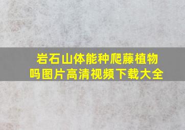 岩石山体能种爬藤植物吗图片高清视频下载大全