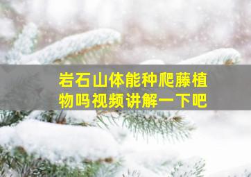 岩石山体能种爬藤植物吗视频讲解一下吧