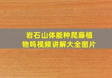 岩石山体能种爬藤植物吗视频讲解大全图片