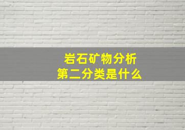 岩石矿物分析第二分类是什么