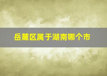 岳麓区属于湖南哪个市