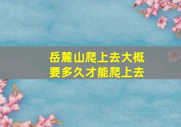 岳麓山爬上去大概要多久才能爬上去