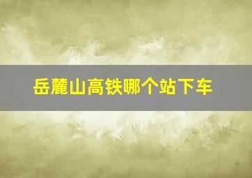 岳麓山高铁哪个站下车