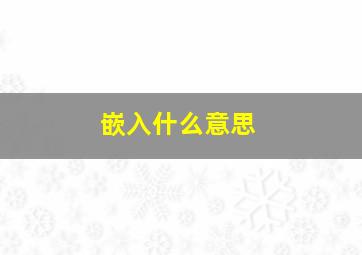 嵌入什么意思