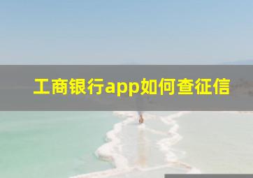 工商银行app如何查征信