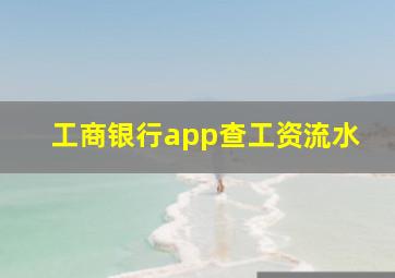 工商银行app查工资流水