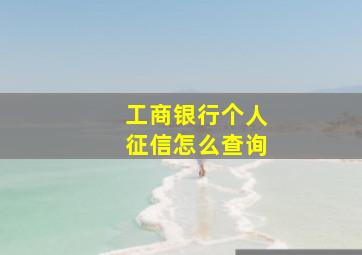 工商银行个人征信怎么查询