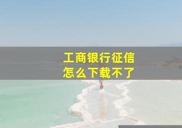 工商银行征信怎么下载不了