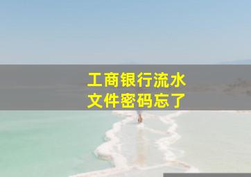 工商银行流水文件密码忘了