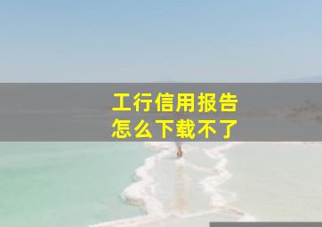 工行信用报告怎么下载不了