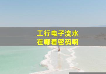 工行电子流水在哪看密码啊