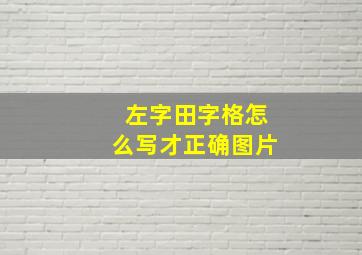 左字田字格怎么写才正确图片