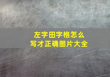 左字田字格怎么写才正确图片大全