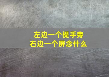 左边一个提手旁右边一个屏念什么