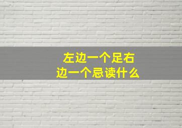 左边一个足右边一个忌读什么