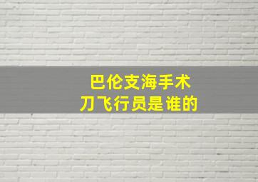 巴伦支海手术刀飞行员是谁的