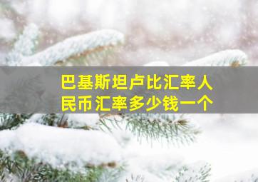 巴基斯坦卢比汇率人民币汇率多少钱一个