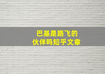 巴基是路飞的伙伴吗知乎文章