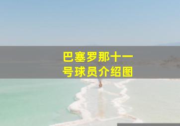 巴塞罗那十一号球员介绍图