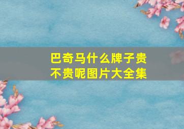 巴奇马什么牌子贵不贵呢图片大全集