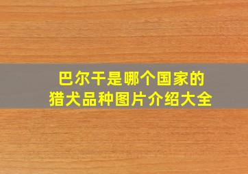 巴尔干是哪个国家的猎犬品种图片介绍大全