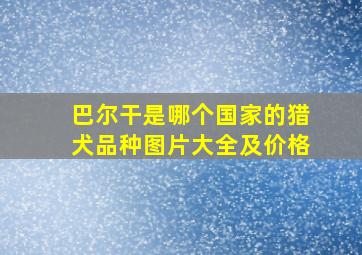 巴尔干是哪个国家的猎犬品种图片大全及价格