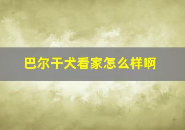 巴尔干犬看家怎么样啊